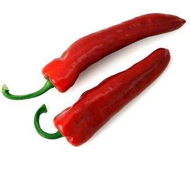 Capsicum Uyababa HOT Chilli Pepper Seeds - Capsicum frutescens - Vegetable Chili Chile