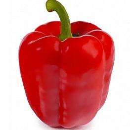 10 Paprika Seeds - Capsicum Papri Queen Seeds - Vegetables - Chili Chilli Chile