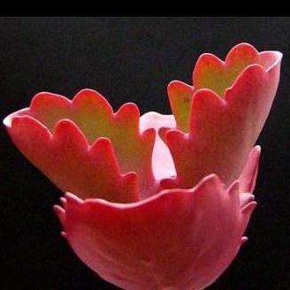 50 Kalanchoe longiflora var. coccinea Seeds + GET FREE SEEDS WITH ALL ORDERS - Indigenous Succulents