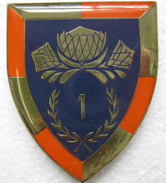 SADF 1 SPECIAL SERVICES BATTALION SHOULDER FLASH