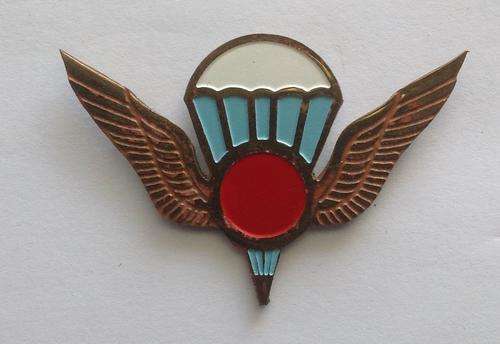 RENAMO INSTRUCTOR PARACHUTE WING GILT - FULL SIZE