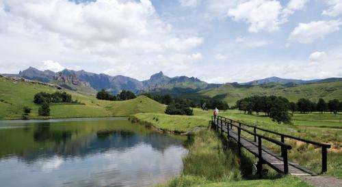 Mountain View from 25/10/2021 - 29/10/2021 in a 4 Sleeper unit