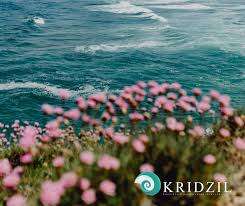 Kridzil 23-08-2024 - 26-08-2024 (3 nights-6 sleeper)