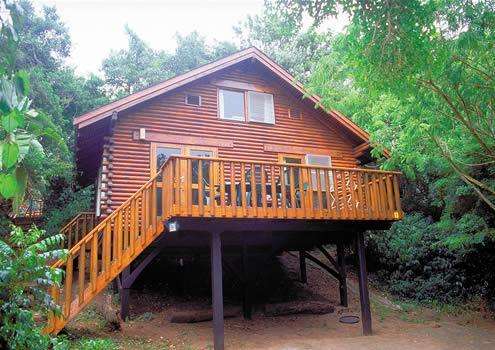 Mtunzini Forest Lodge from 04/08/2014 - 08/08/2014