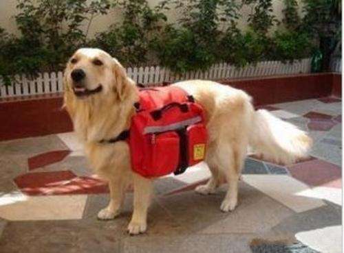 Multipurpose Dog Back Pack