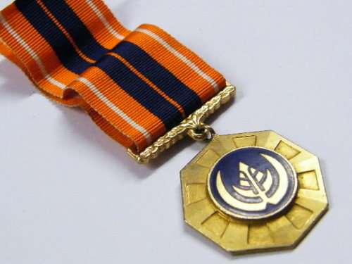 SADF Pro Patria medal - swivel type - number 39808
