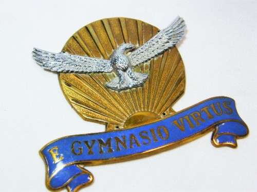 SA Air Force Gymnasium plaque badge