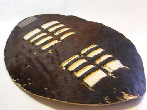 Small souvenir Zulu Shield presented to Prieska Primary School