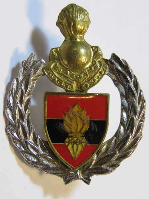 Northern Cape command Engineer regiment cap badge