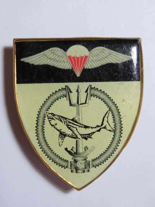 SA Special Forces attack diver/freefall paratrooper fantasy flash