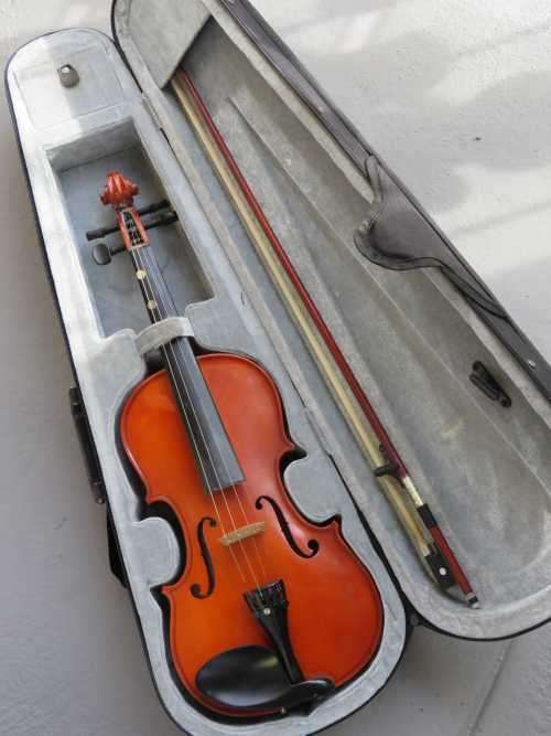 Flame Lily violin in case - Good condition