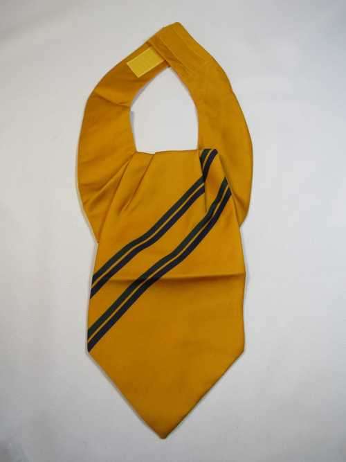 SADF 8 SA Infantry Battalion cravat
