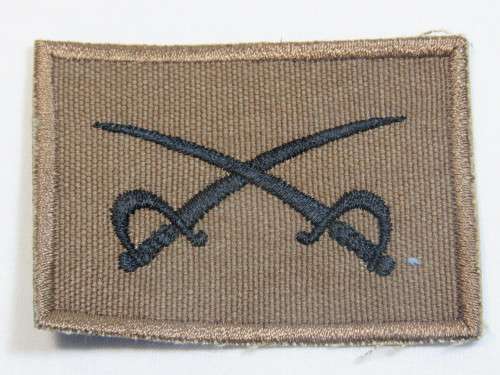 SADF PT instructor cloth badge