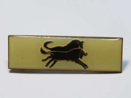 SADF Natal Command affiliation bar