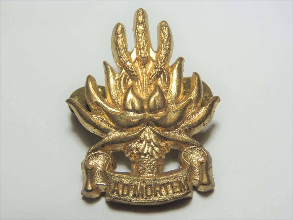 Regiment Piet Retief cap badge with pins