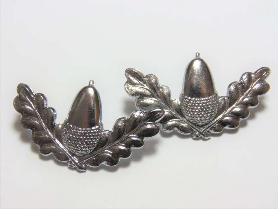 Pair of Stellenbosch University Regiment collar badges - chromed