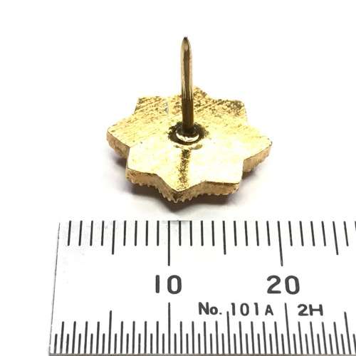 SA Police Woman`s collar and tie badge