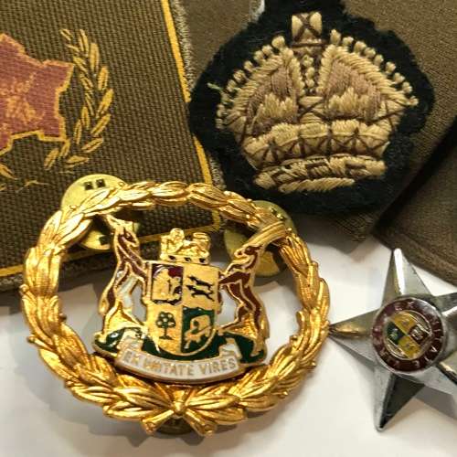 Lot of military badges and insignia