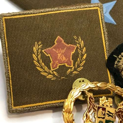 Lot of military badges and insignia
