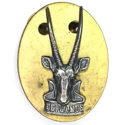 SWATF Headquarters oxidized silver beret badge - Dinnes 1256