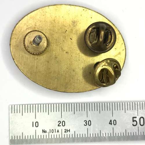 SWATF Headquarters oxidized silver beret badge - Dinnes 1256