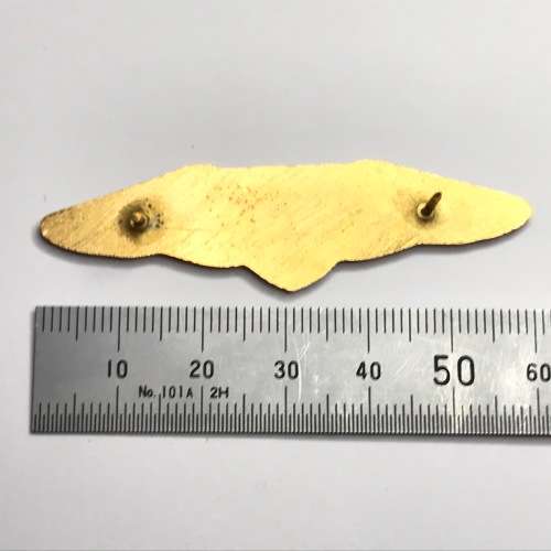 SA Railways Police Task Force Western Cape breast badge