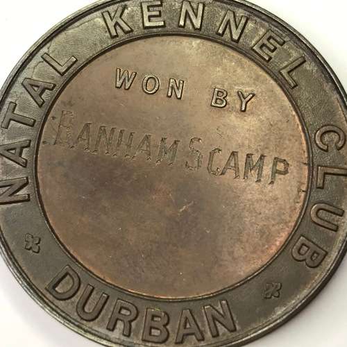 Natal Kennel Club medallion issued to Banham Scamp (Durban)