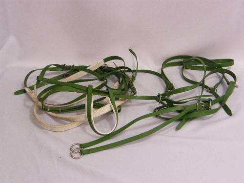 Horse's Halter used in the movie " Racing Stripes " - as per photo