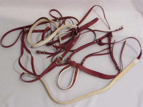 Horse's Halter used in the movie " Racing Stripes " - as per photo