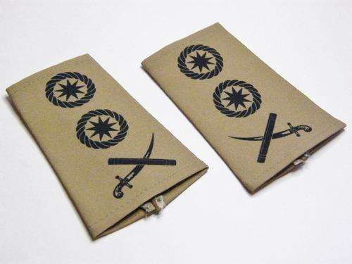 Pair of Transkei Defence Force Lieutenant General Rank Epaulettes - Printed - as per photo