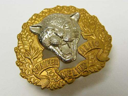 6 SA Infantry training unit bi-metal cap badge - voided type - as per photo