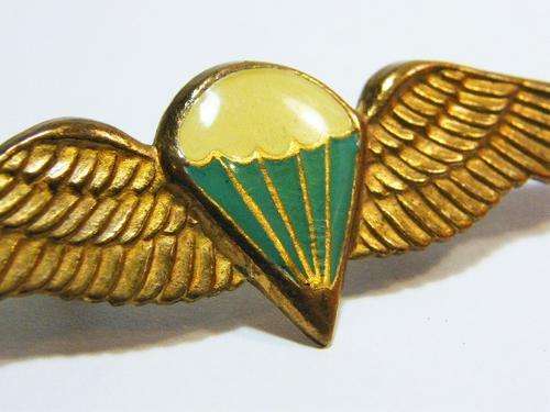 SA Parachute basic paratrooper wing with lucite centre - as per photo