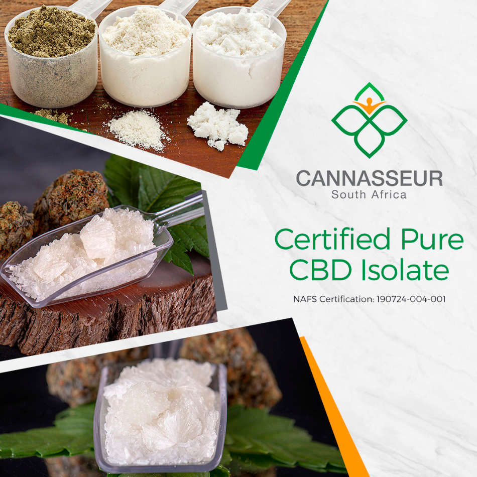 Natural Immune Support - 600mg Pure CBD Oil [0% THC]