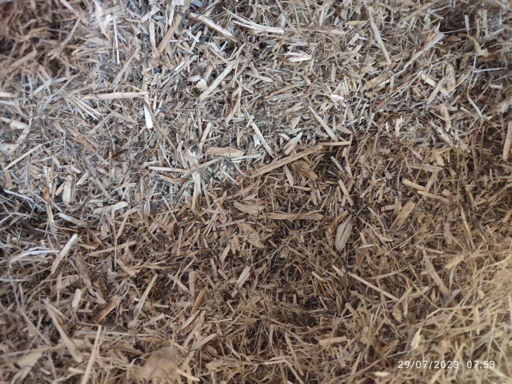 Shredded Straw Mixture (5kg) - for Garden mulch/Mushroom straw
