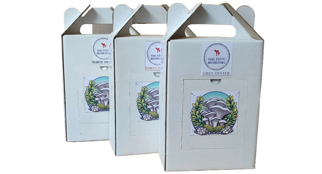 Oyster Mushroom Box Grow Kits (3 varieties)