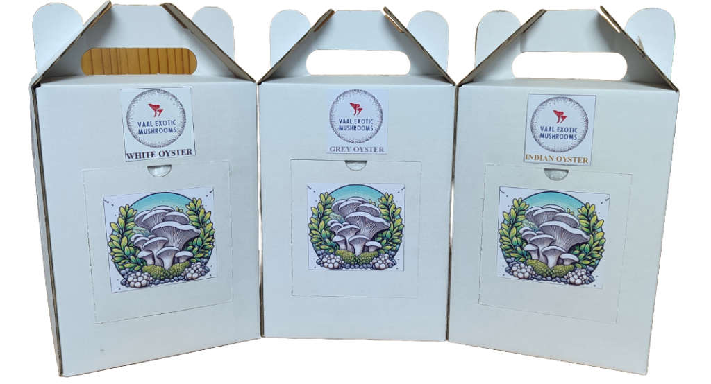 Oyster Mushroom Box Grow Kits (3 varieties)