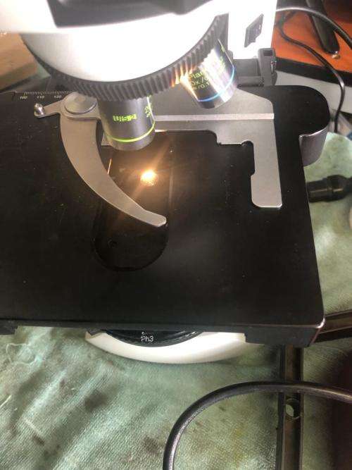 OLYMPUS CX41 CX41RF MICROSCOPE