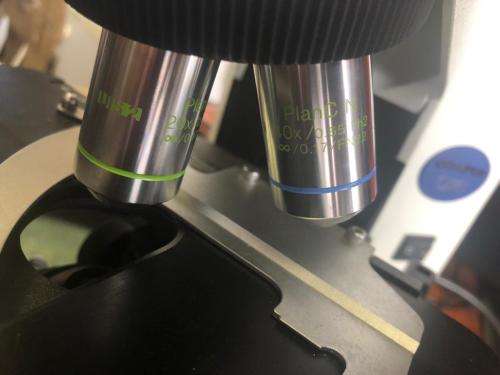 OLYMPUS CX41 CX41RF MICROSCOPE
