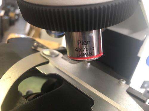 OLYMPUS CX41 CX41RF MICROSCOPE