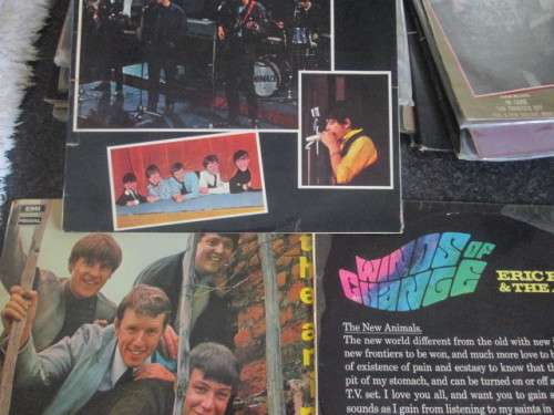 the animals three lps