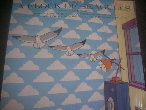Flock of seagulls import lp