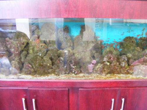***FULL MARINE TANK SETUP WORTH OVER R60000.00 NO RESERVE***