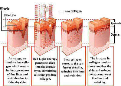 Photon Ultrasonic Light Therapy Skin Rejuvenation Device