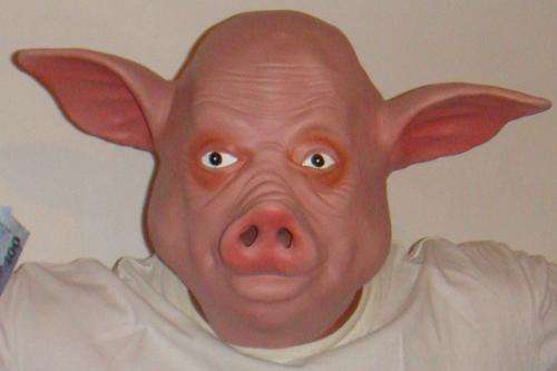 SALE! SALE! SALE! Pig Latex Mask - Perfect for Fancy Dress, Halloween, Concert Costumes