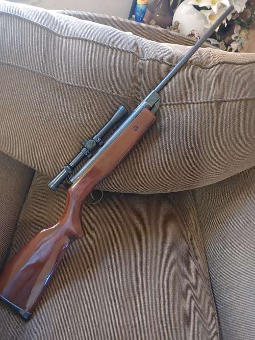 air rifle pellet gun