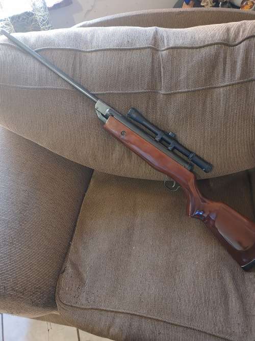 air rifle pellet gun