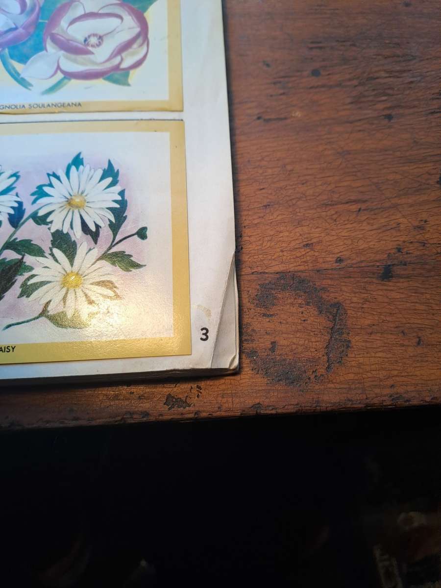 Naturama vintage stcker book 1970's