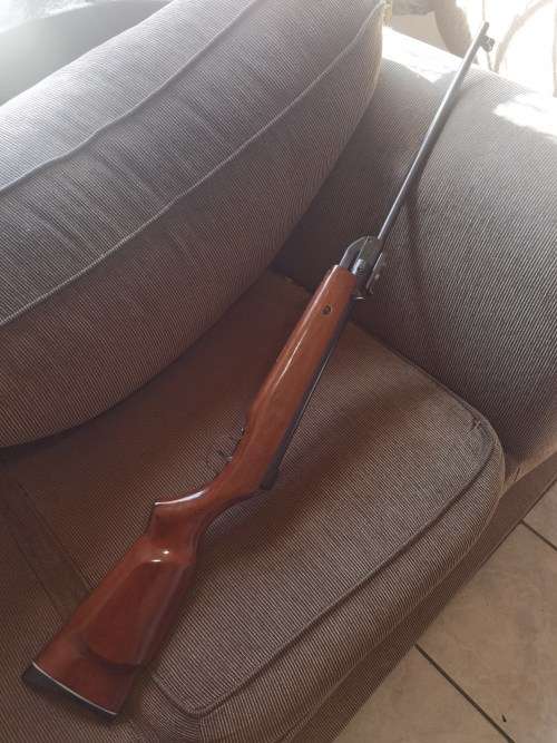 Air rifle Pellet gun