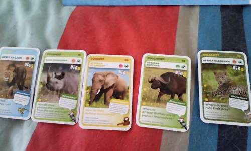 Set of the big 5 PICK N PAY CARDS