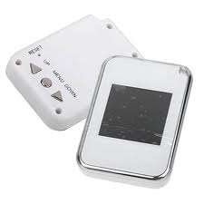 Very Popular Mini Key Chain Digital Photo Frame, Back in Stock!